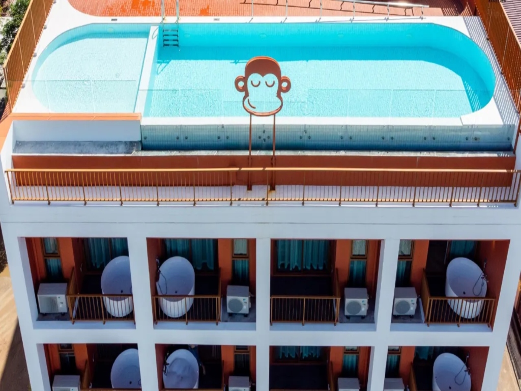 Blu Monkey Group