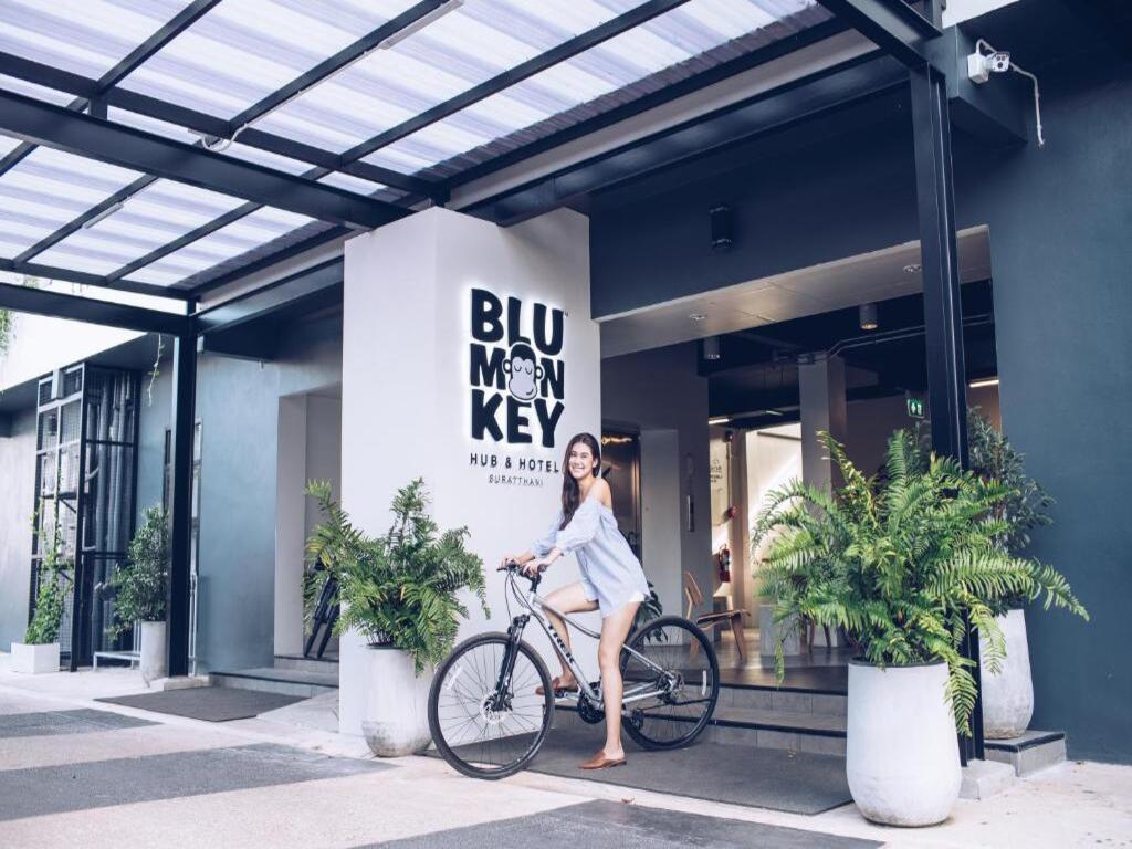 Blu Monkey Group